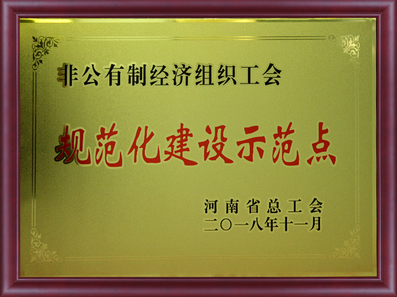 規(guī)范化建設(shè)示范點(diǎn)